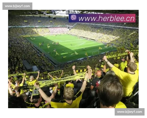 聚焦全球赛事风云打造专业体育直播互动平台引领观赛新体验时代潮流